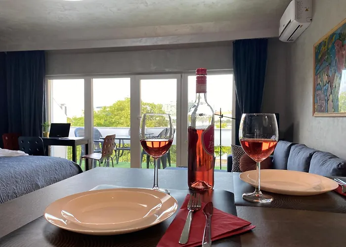 Apartment Danube View With Terrace *